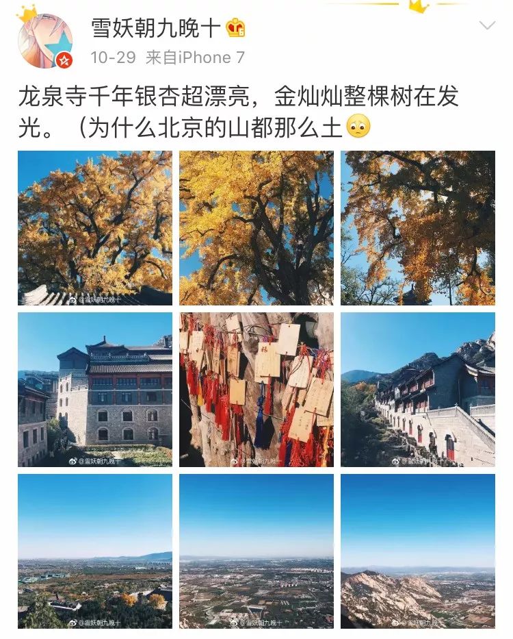 京城赏荷地图高清版,京城赏玉兰最全地图