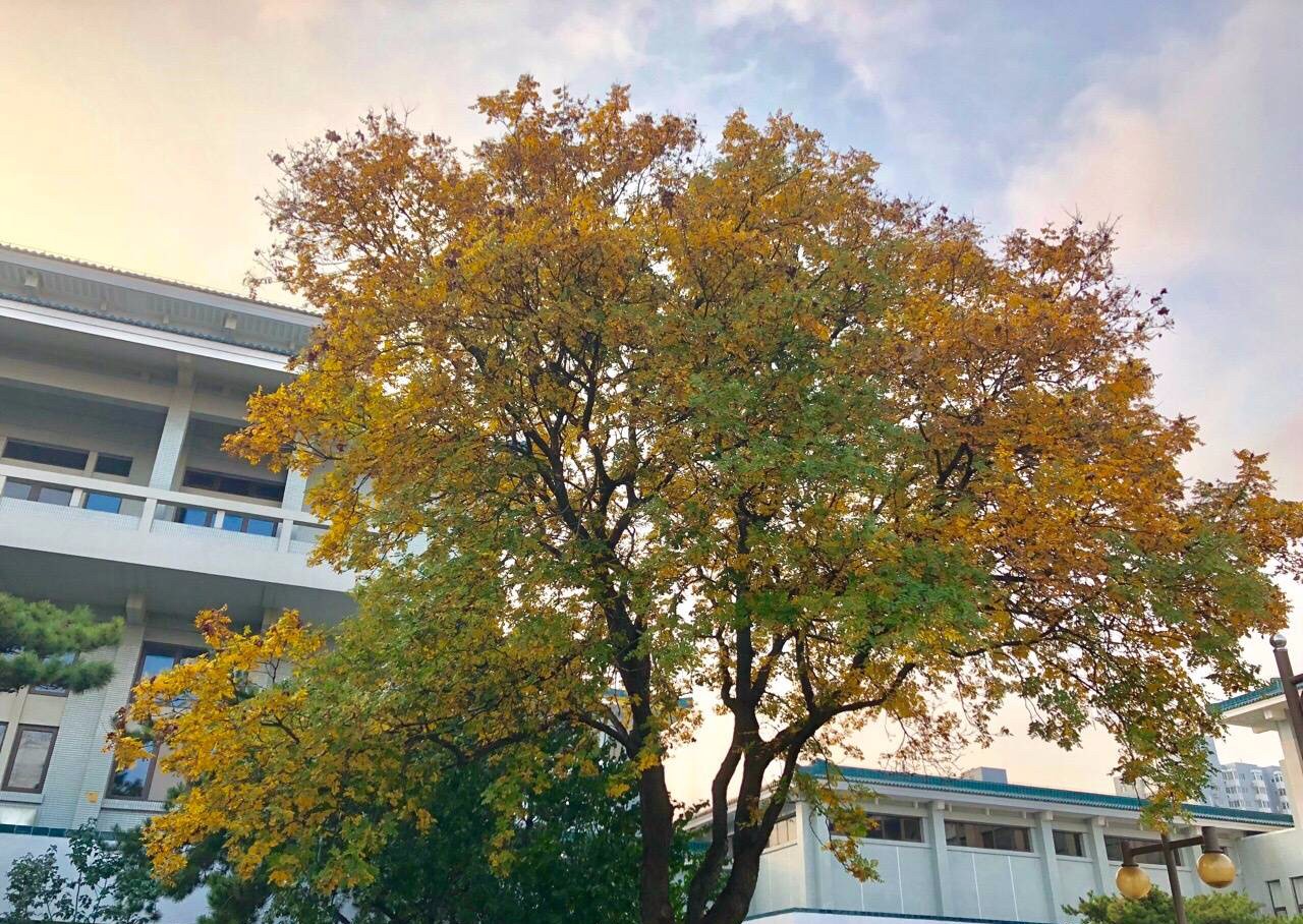 京城赏荷地图高清版,京城赏玉兰最全地图