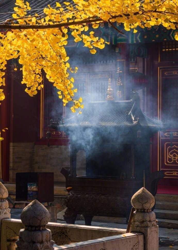 京城赏荷地图高清版,京城赏玉兰最全地图