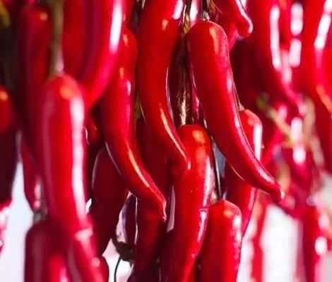 四川最具特点的美食小吃,四川土特产包含有哪些美食