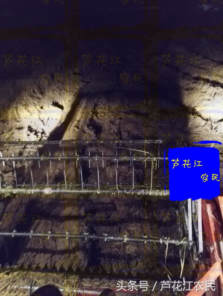 最新款福田雷沃大马力旱田车,久保田688和雷沃rg50哪个好