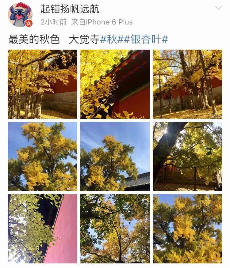 京城赏荷地图高清版,京城赏玉兰最全地图