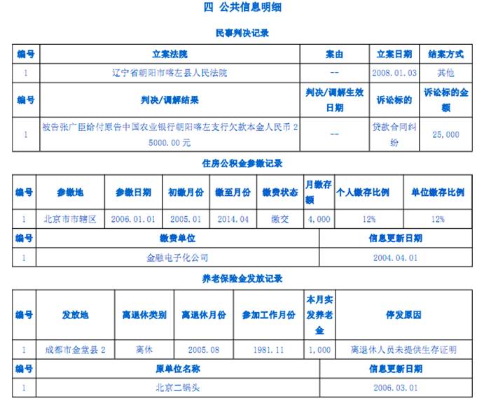 银行征信报告最详细版,银行详版征信报告解读