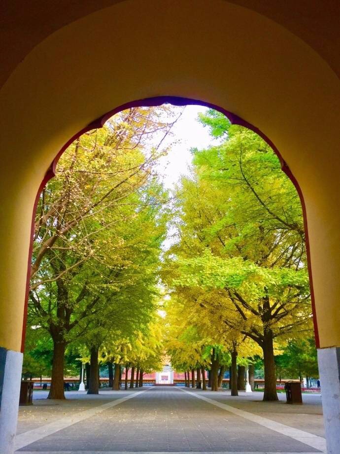 京城赏荷地图高清版,京城赏玉兰最全地图