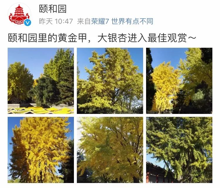 京城赏荷地图高清版,京城赏玉兰最全地图