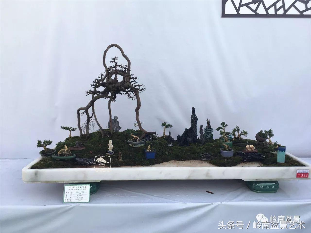 雀梅盆景价格在五千元至二万元的,经典中式庭院雀梅盆景100万以上