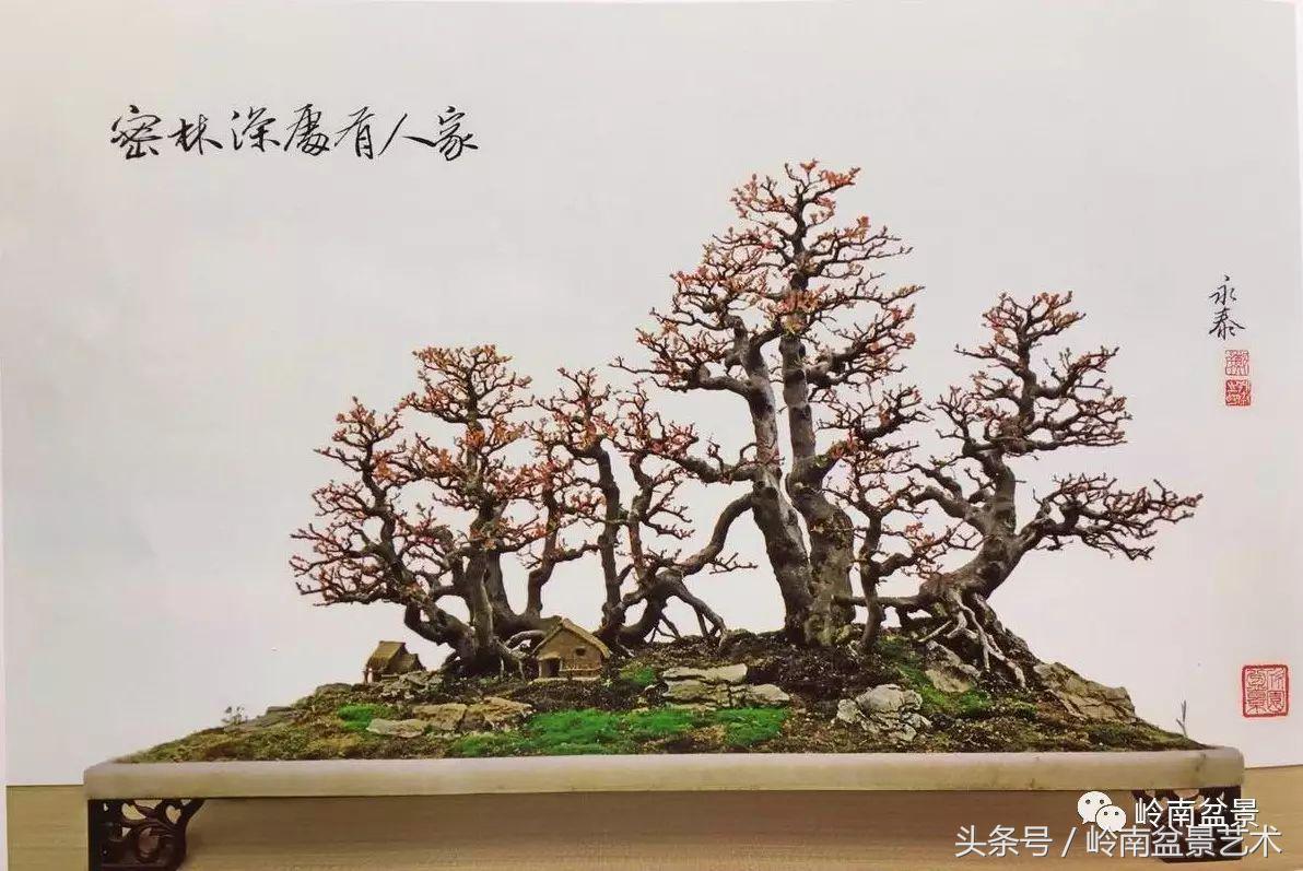 雀梅盆景价格在五千元至二万元的,经典中式庭院雀梅盆景100万以上