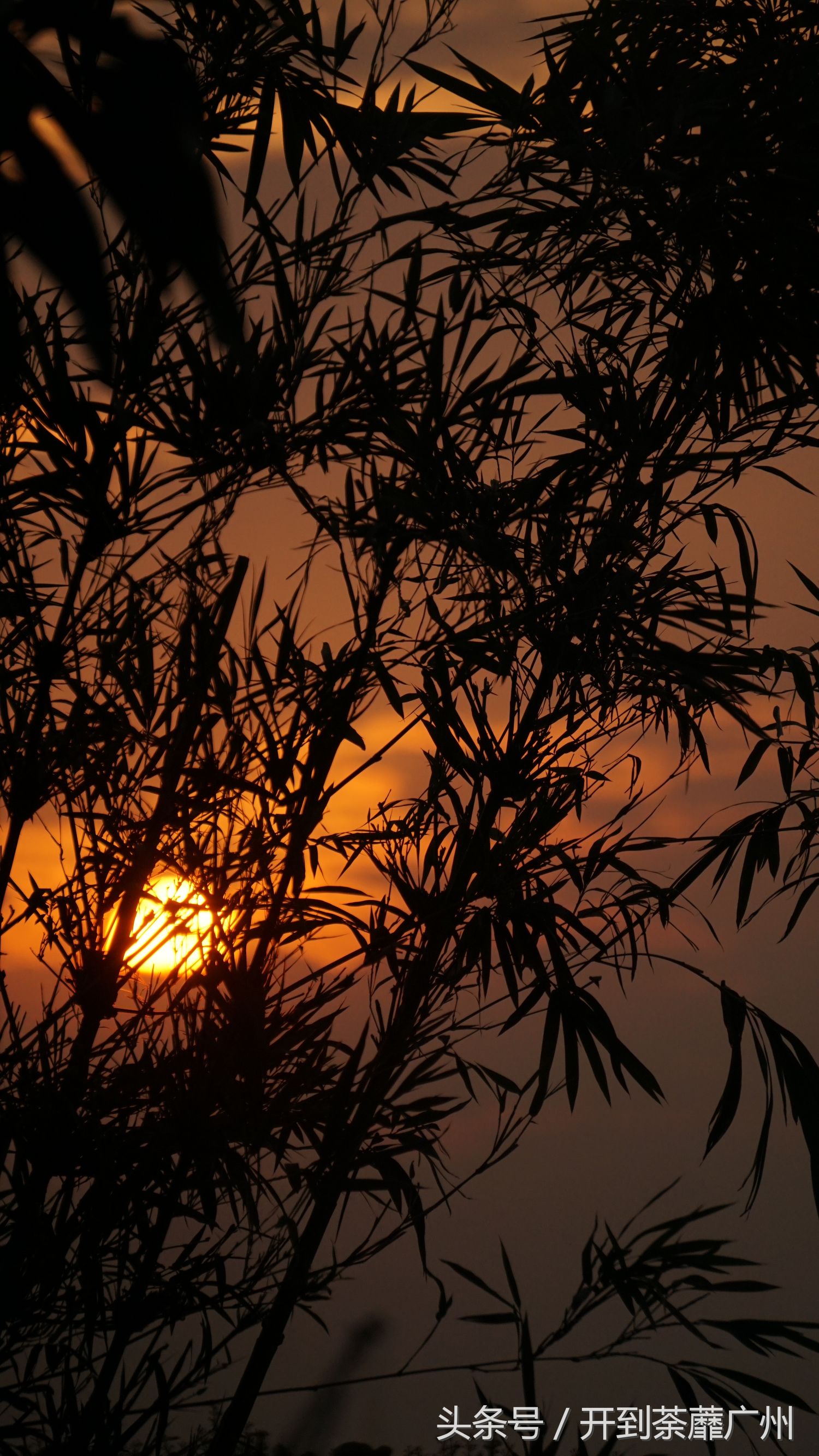 官洲岛：微凉初秋夕阳无限好天色已黄昏