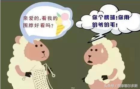 鄂尔多斯人、巴盟人、包头呼市人说话句句不离“球”的种种含义！