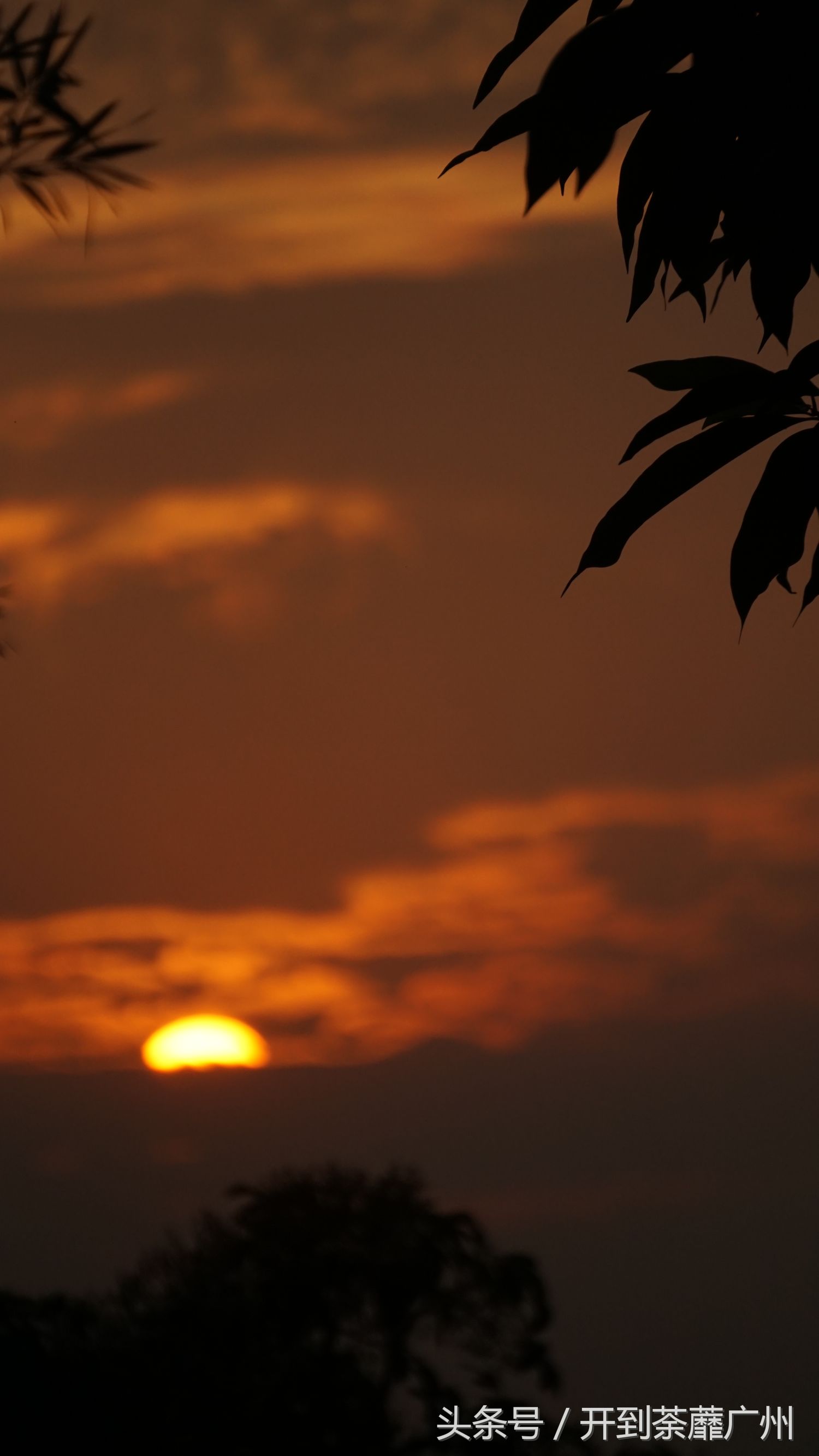 官洲岛：微凉初秋夕阳无限好天色已黄昏
