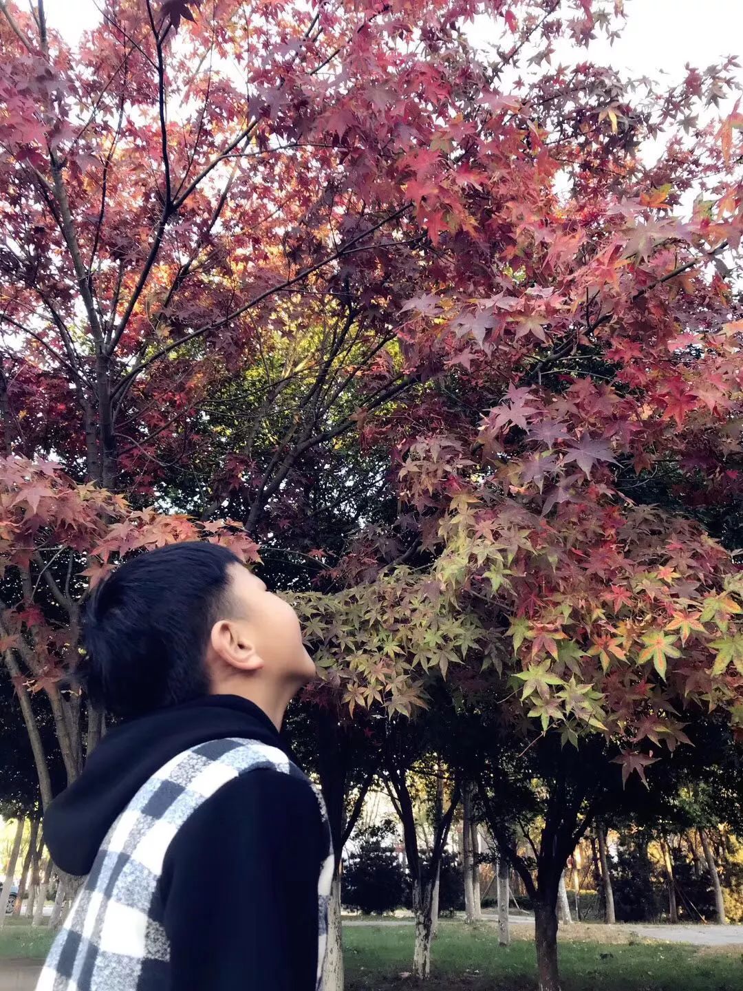 手机摄影作品赏析,手机摄影作品也可以美不胜收