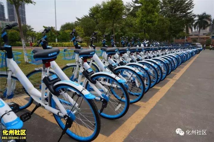 化州现在还有共享电单车吗,化州的共享单车在哪里