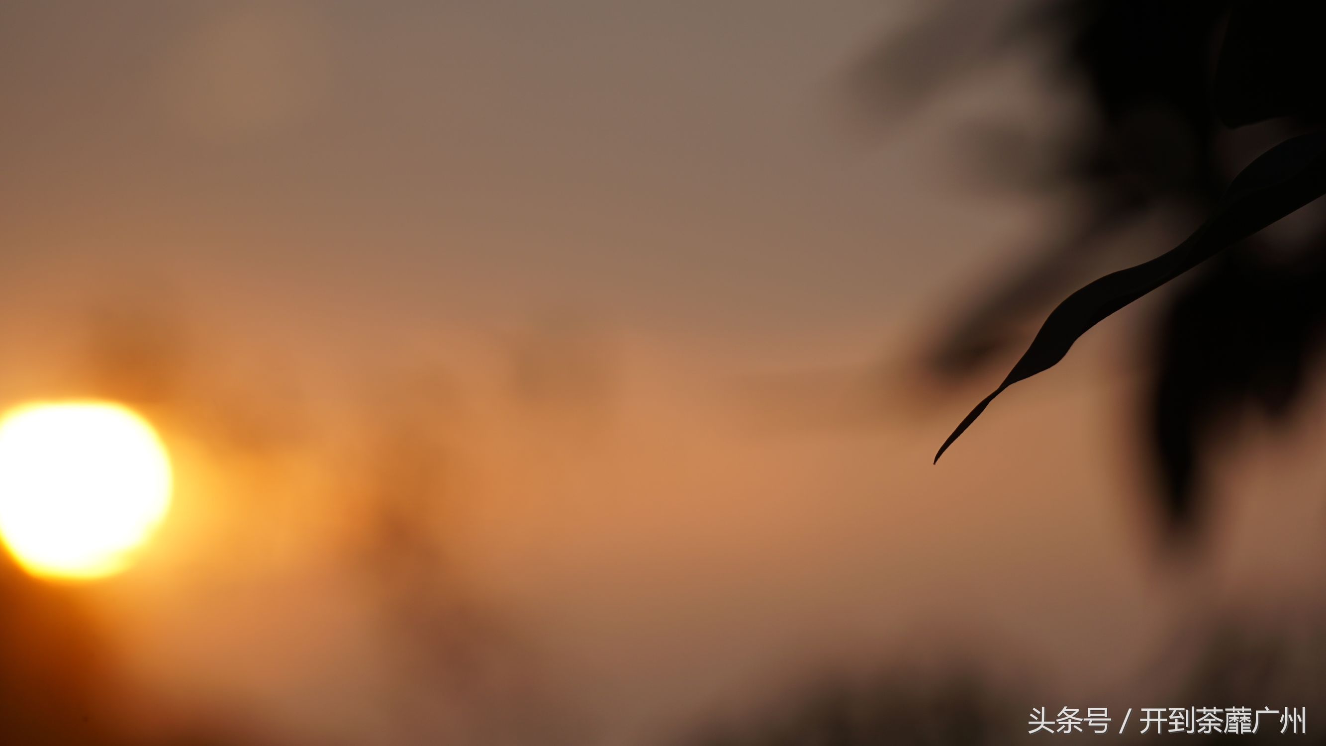 官洲岛：微凉初秋夕阳无限好天色已黄昏