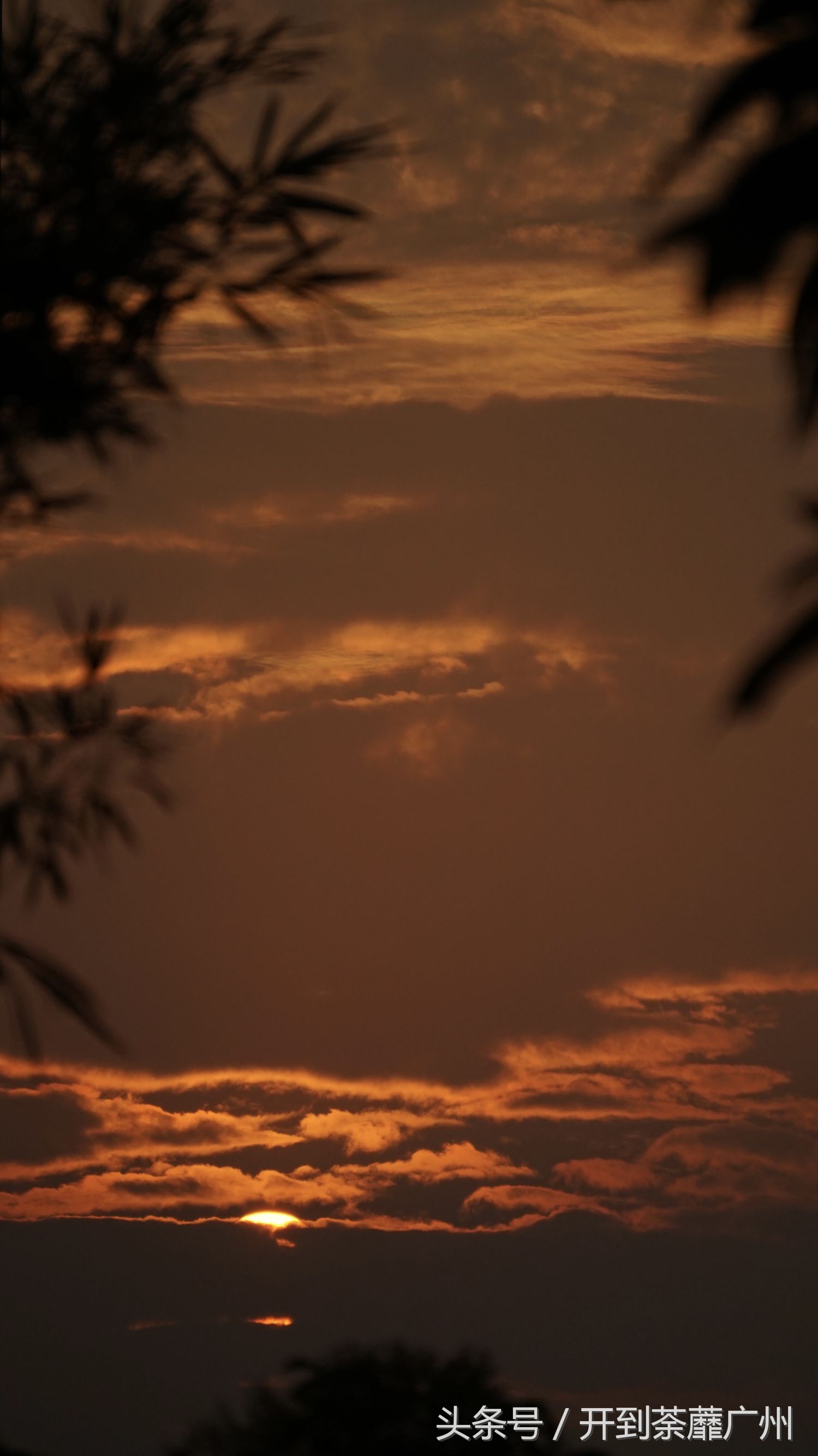 官洲岛：微凉初秋夕阳无限好天色已黄昏