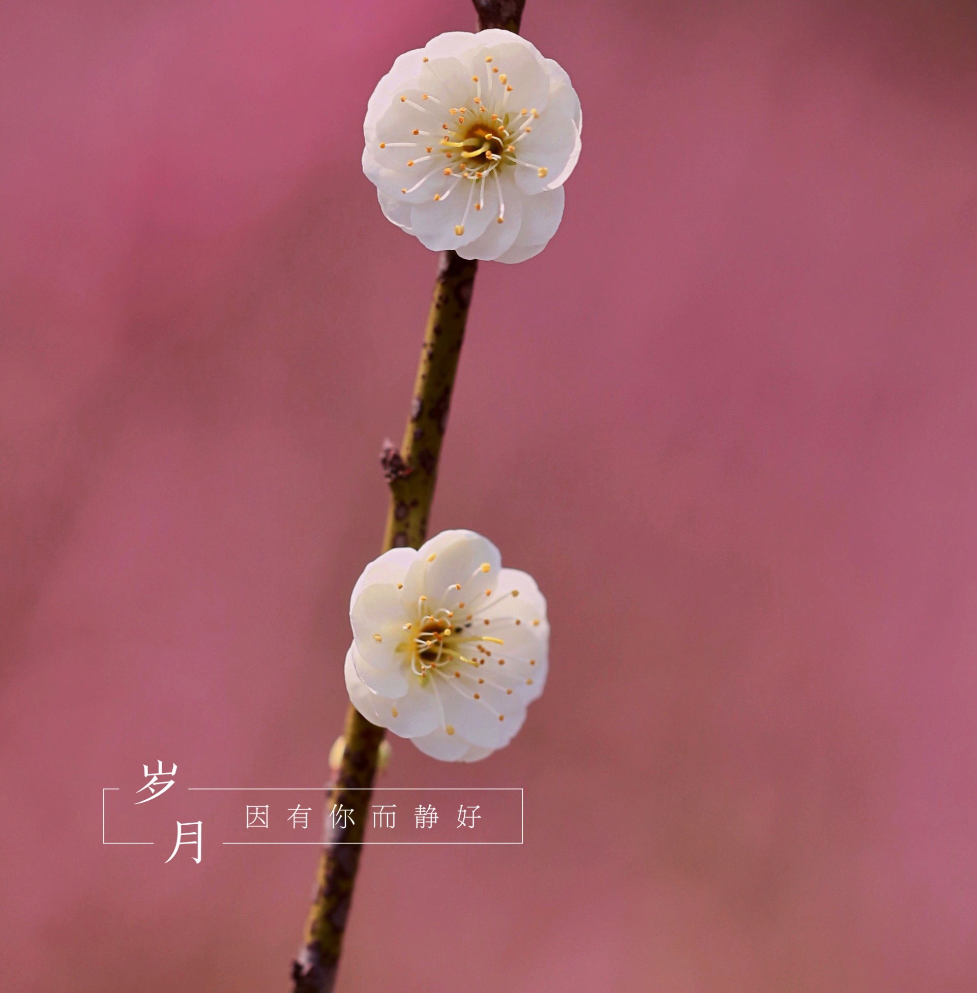 微信朋友圈相册图片封面简单干净,朋友圈20张图片拼图