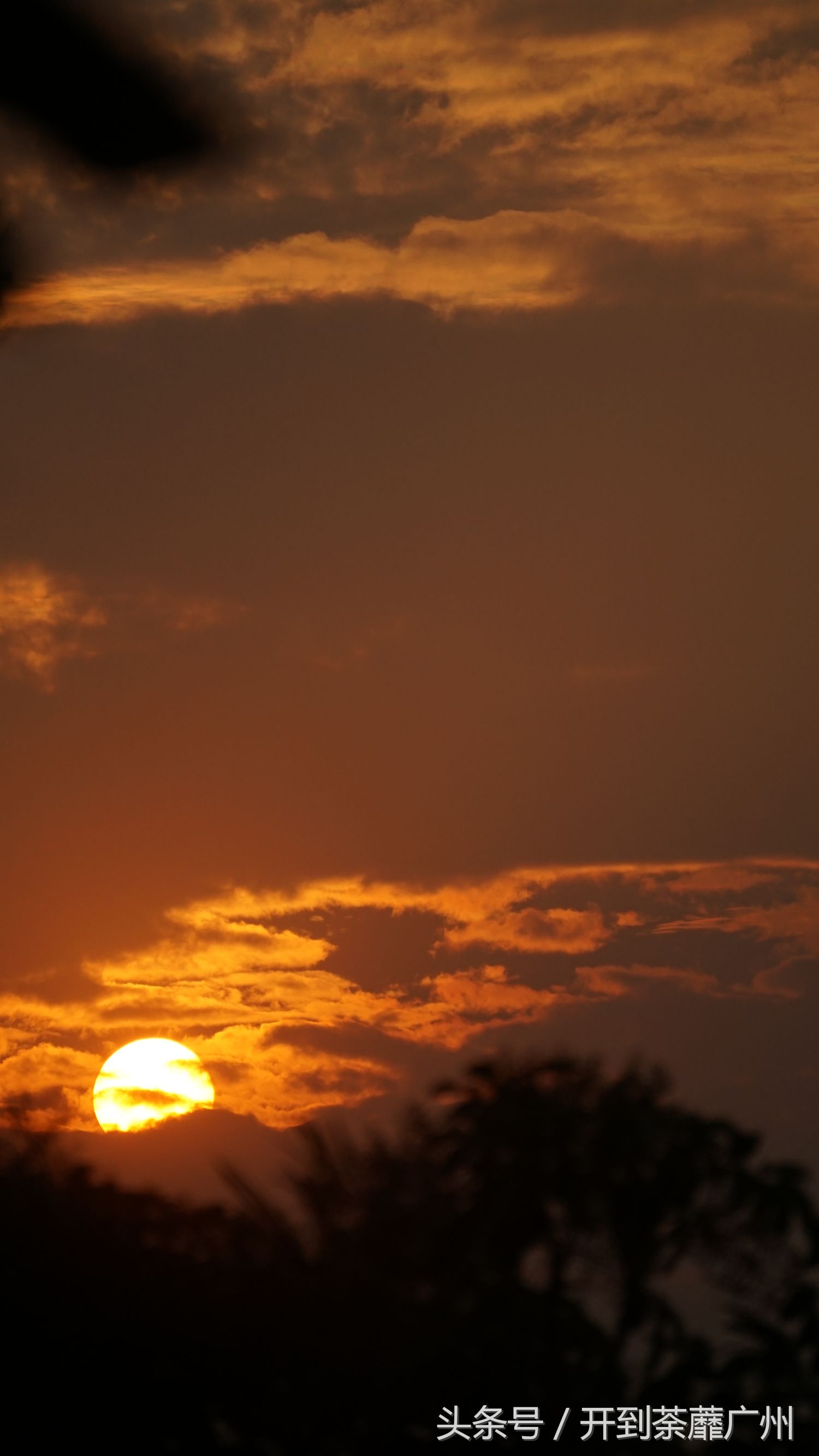官洲岛：微凉初秋夕阳无限好天色已黄昏