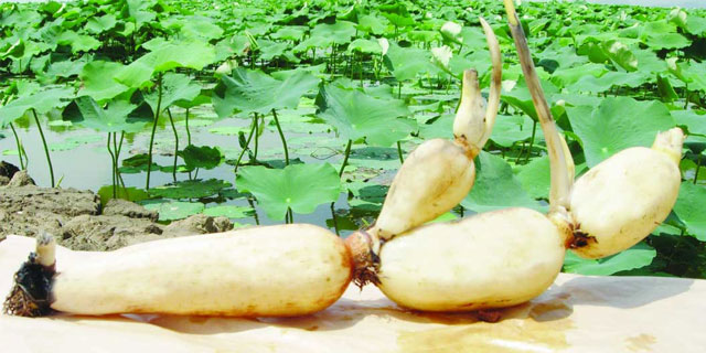 欧赛媤的护肤品怎么样,欧赛媤祛斑怎么样