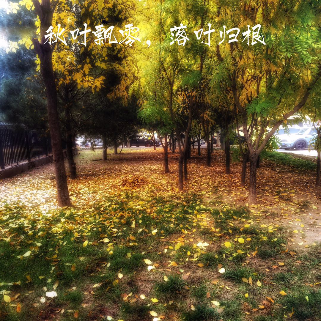 手机摄影作品赏析,手机摄影作品也可以美不胜收