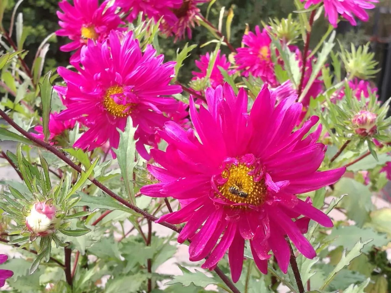 手机摄影作品赏析,手机摄影作品也可以美不胜收