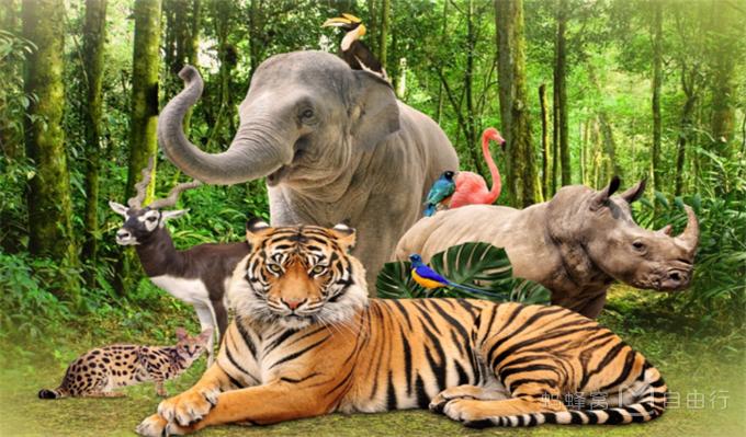 干货超实用又小众的富国岛攻略,富国岛胡吃海喝攻略