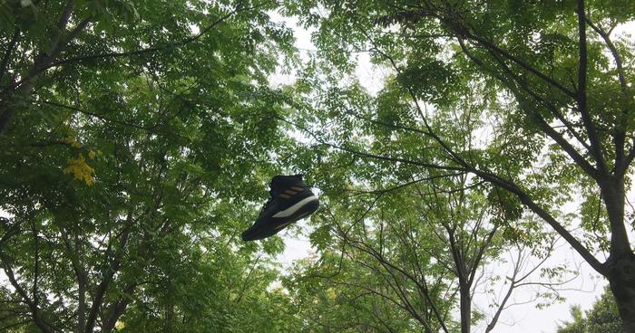 克城玫瑰不简单！Rose8开箱、实战评测！