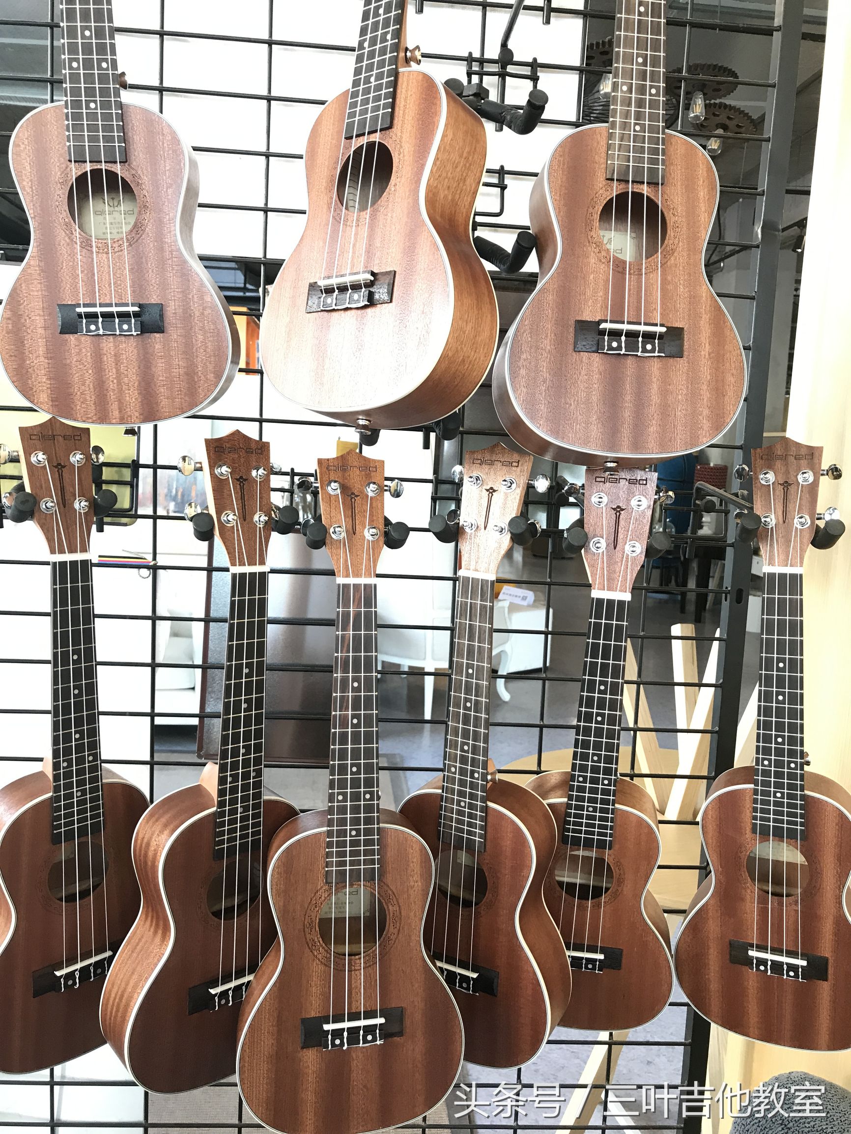 中国首家共享吉他（三叶）已经开始蔓延武汉了！武汉三叶乐器出资