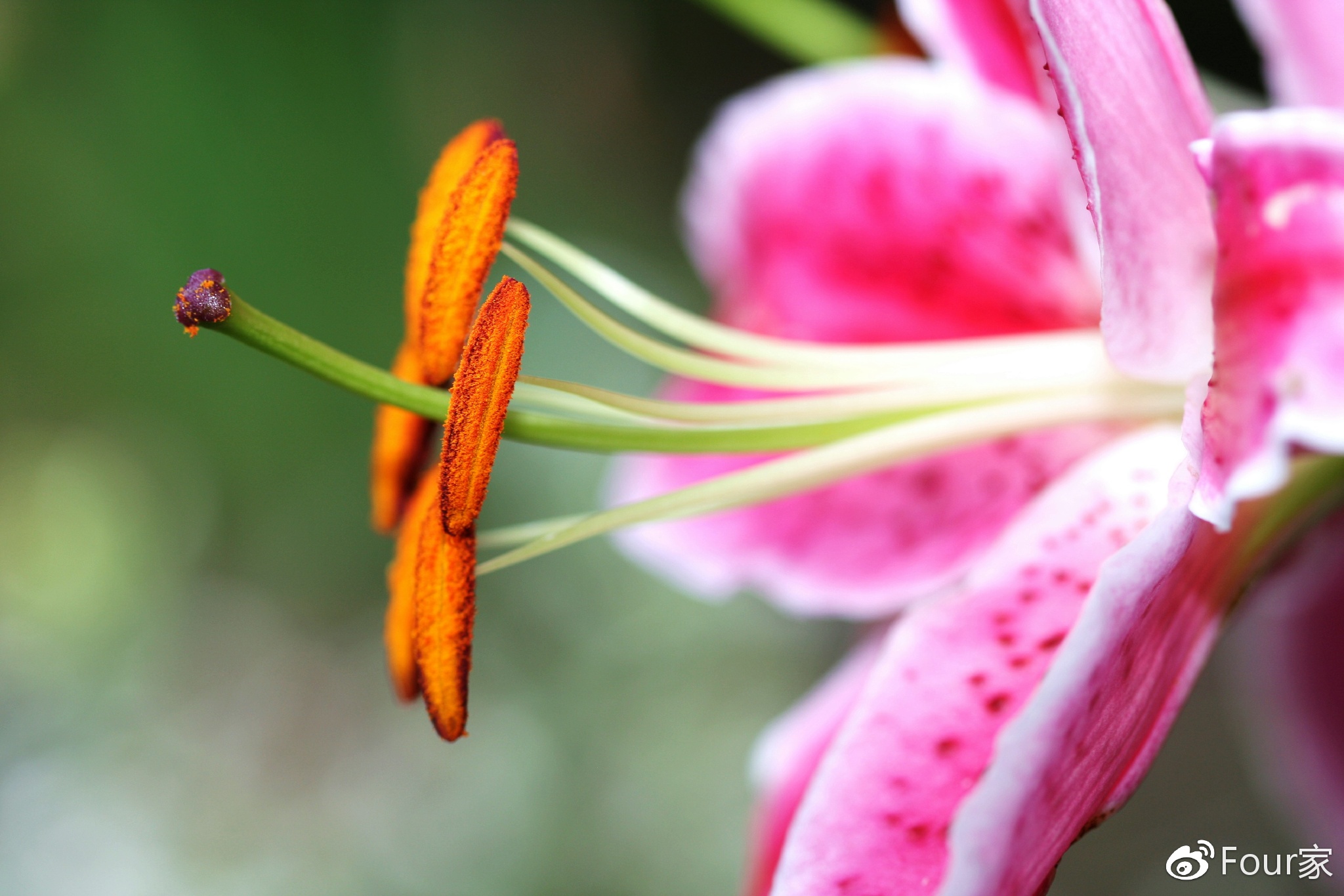 犯太岁影响哪些生肖运势,犯太岁的几个生肖运势最好