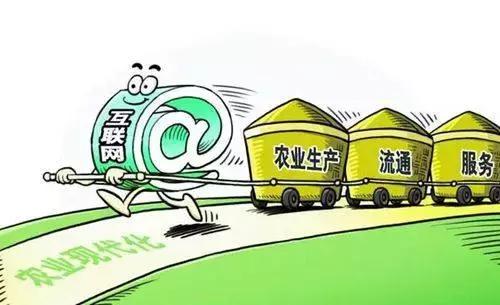 乡村振兴战略五年规划重点项目,乡村振兴计划重点项目