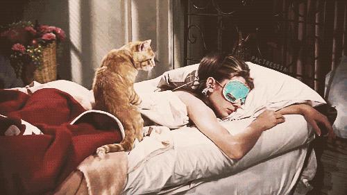 关于脱发你需要知道这10个真相,关于脱发你必须知道的真相