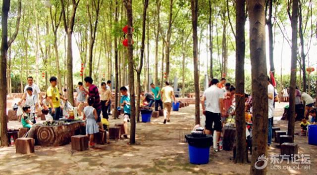 宁波哪里风景好又能免费烧烤,宁波适合烧烤的海边