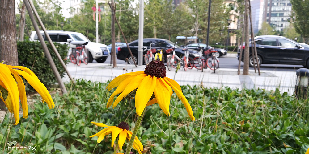 全面屏光荣畅玩7x有几种颜色,千元旗舰手机光荣畅玩7x