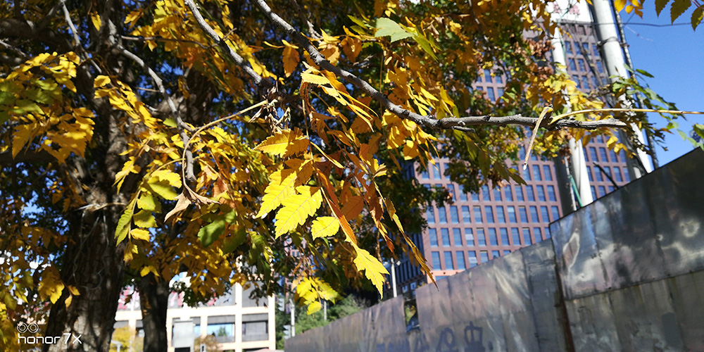 全面屏光荣畅玩7x有几种颜色,千元旗舰手机光荣畅玩7x