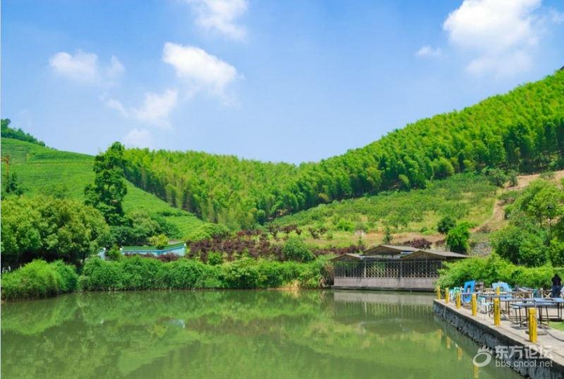 宁波哪里风景好又能免费烧烤,宁波适合烧烤的海边