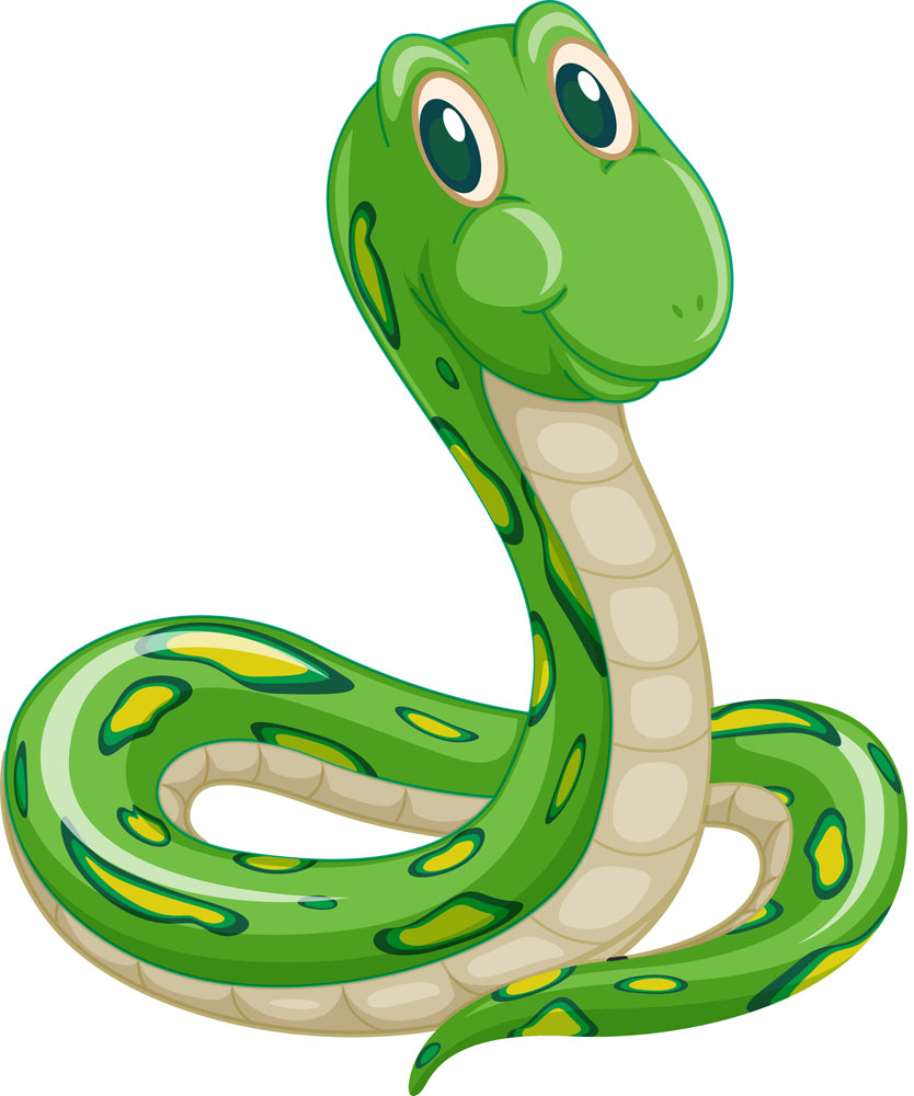 十二生肖各缺一个器官图解,十二生肖各缺一样东西