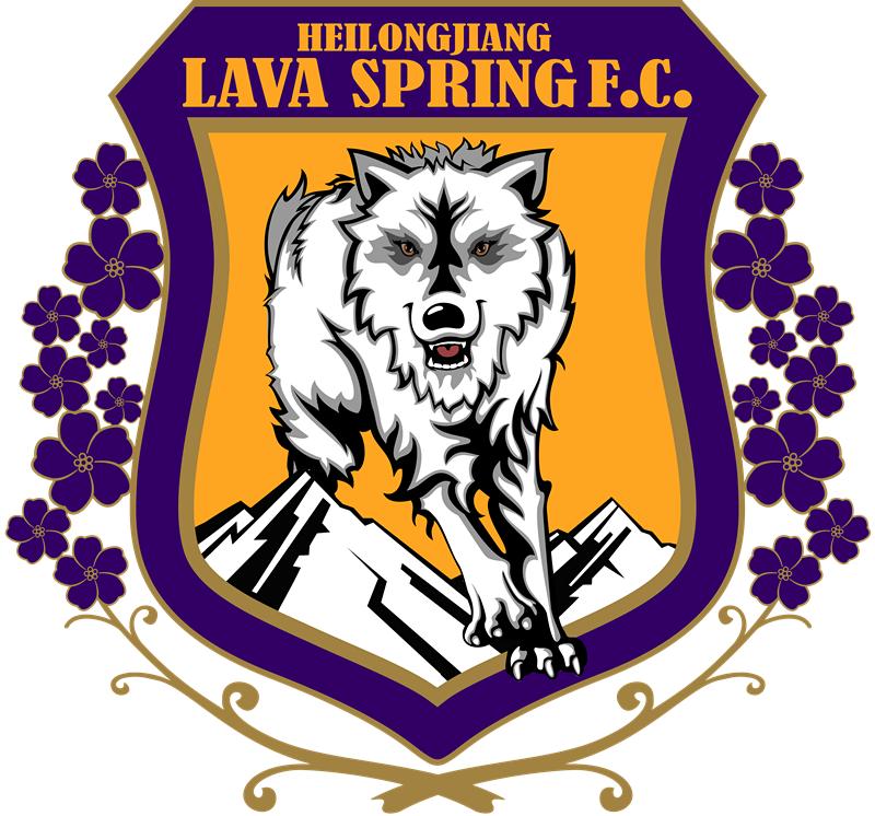 哈尔滨的前世今生,哈尔滨足球队历史