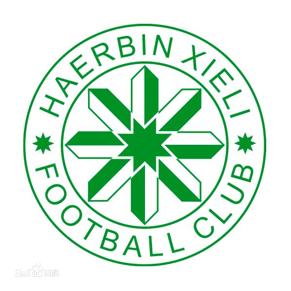 哈尔滨的前世今生,哈尔滨足球队历史