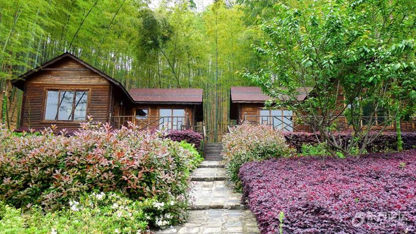 宁波哪里风景好又能免费烧烤,宁波适合烧烤的海边