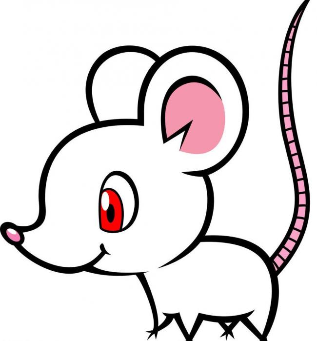 十二生肖各缺一个器官图解,十二生肖各缺一样东西