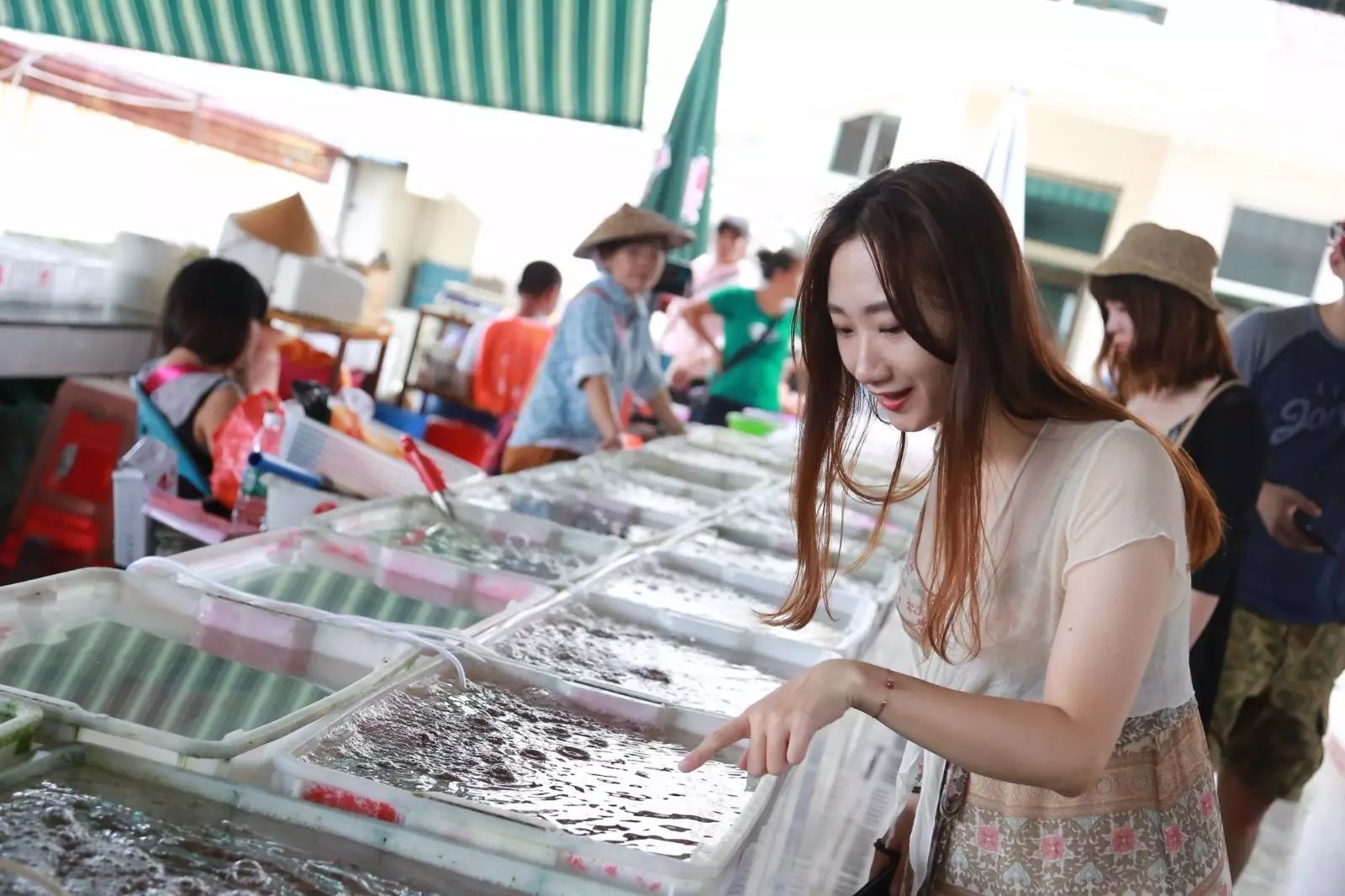 陵水一日游必去的景点,陵水一日游自由行
