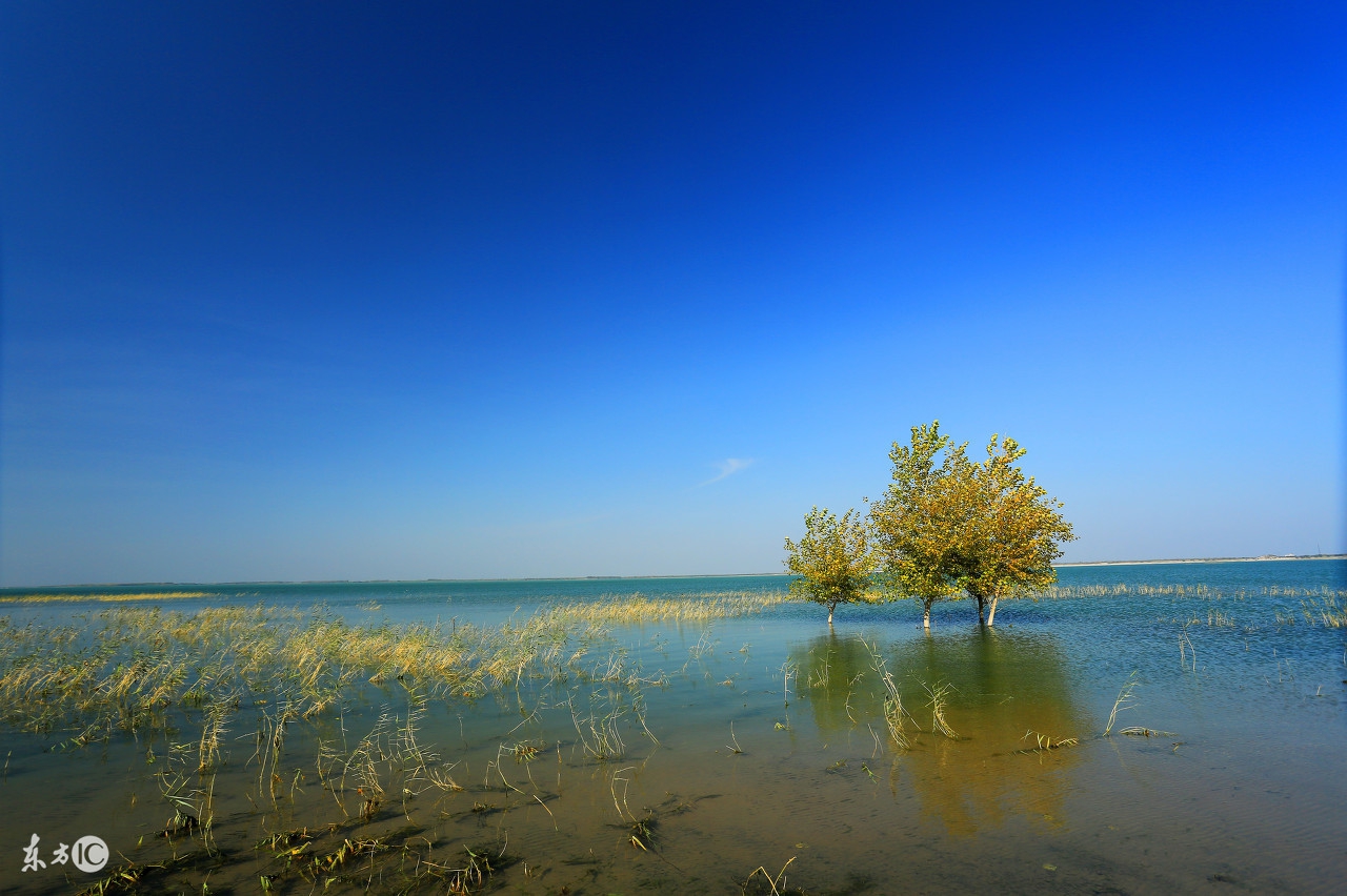 狗年10月出生运势好吗,易经狗年出生运势