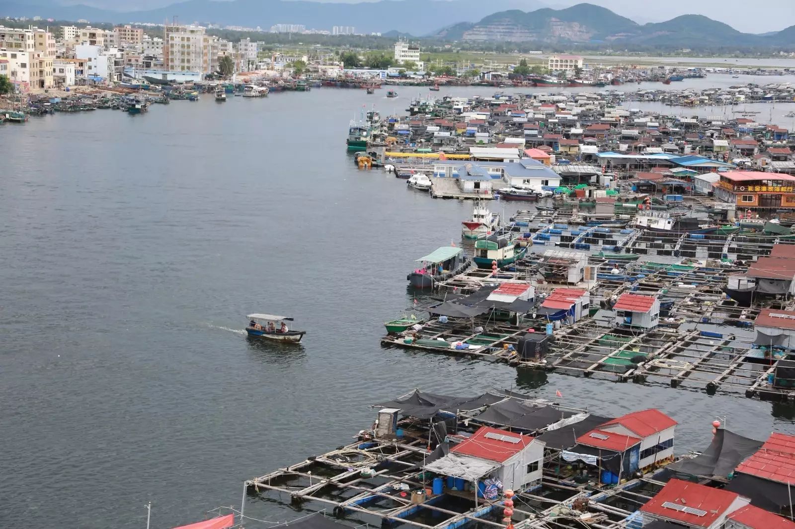 陵水一日游必去的景点,陵水一日游自由行