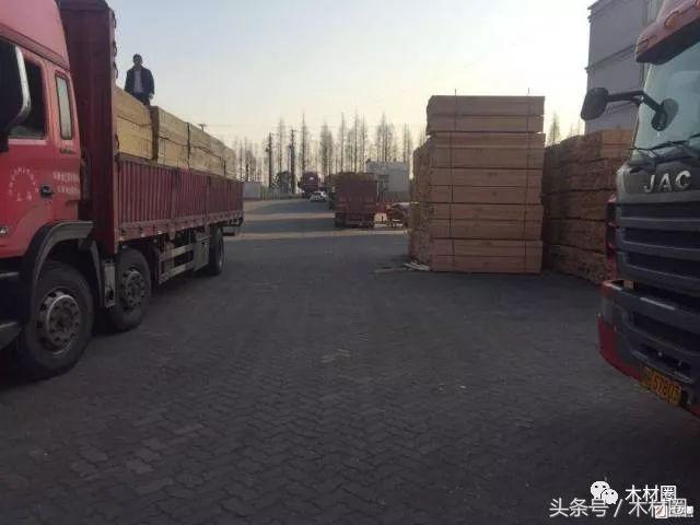 关于木材涨价的通知,木材缺货最新消息