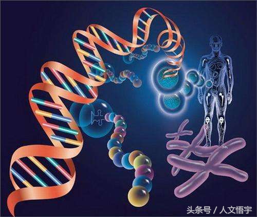 犹太人和阿拉伯人本是同源兄弟,犹太人与阿拉伯人同宗的传说