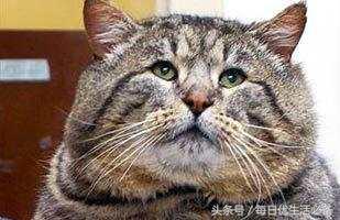 冬天拒绝臃肿瑜伽塑形,冬天拒绝身材臃肿