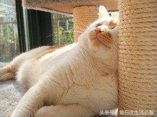 冬天拒绝臃肿瑜伽塑形,冬天拒绝身材臃肿