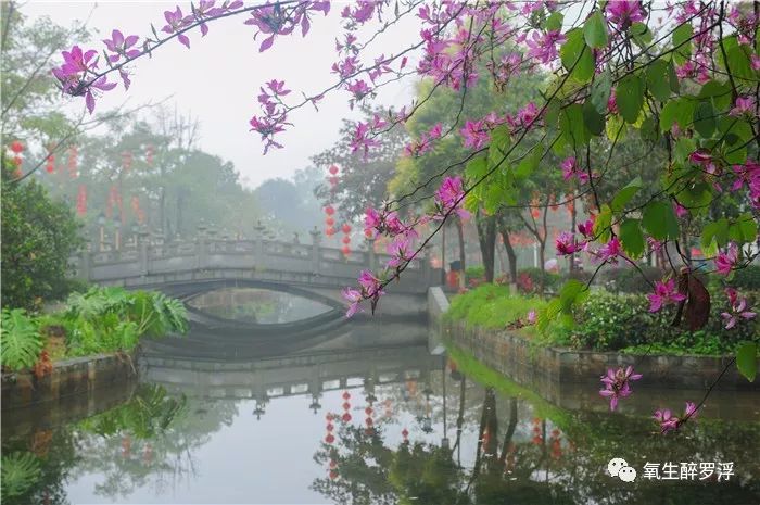 罗浮山优惠团购,双十一游玩门票团购