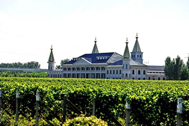 不要再纠缠法国的、意大利的、德国的……进口葡萄酒，京郊这3家葡萄酒庄值得您品尝！