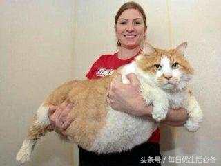 冬天拒绝臃肿瑜伽塑形,冬天拒绝身材臃肿