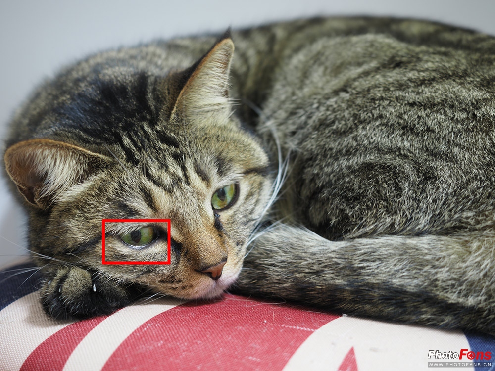 奥林巴斯e-m1ii深度评测,奥林巴斯e-m1x测评