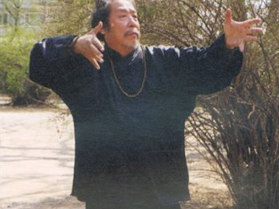 少林拳术歌诀,少林拳法歌诀